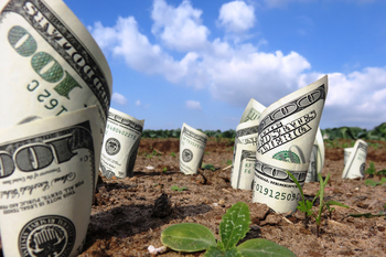 4 No-Brainer Dividend Stocks to Buy Right Now -- and a 17% Dividend Yield to Avoid: https://g.foolcdn.com/editorial/images/842740/getty-money-growing-in-dirt-cash-dividends.jpg