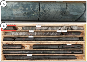 Bohrungen erweitern oberflächennahe Kupfer-Gold-Mineralisierung auf dem Projekt Birch : https://www.irw-press.at/prcom/images/messages/2025/81908/YMC_112025_DEPRcom.004.png