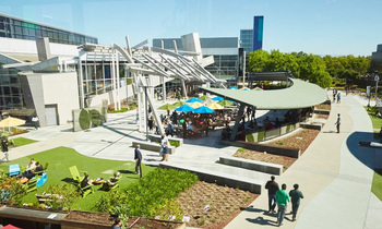 Ranking the Best "Magnificent Seven" Stocks to Buy for 2026. Here's My No. 4 Pick.: https://g.foolcdn.com/editorial/images/844295/wide-shot-of-google-campus_alphabet_google.jpg