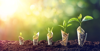 How Good Has Sprouts Farmers Market Stock Actually Been?: https://g.foolcdn.com/editorial/images/844015/gettyimages-1297492947-1.jpg