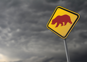 Why I Am Never Selling VTI -- Even During a Market Crash: https://g.foolcdn.com/editorial/images/848238/sign-with-bear-against-a-stormy-sky.jpg