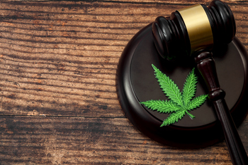 Everything Investors Need to Know About President Trump's Executive Order Reclassifying Marijuana as a Lower Class of Drug: https://g.foolcdn.com/editorial/images/847994/gettyimages-1141325836.jpg
