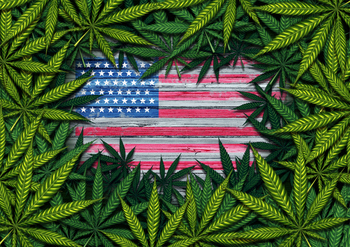 I Was Right: President Trump Will Legalize Marijuana in 2026: https://g.foolcdn.com/editorial/images/848594/us-flag-hidden-under-a-thicket-of-marijuana-plants.jpg