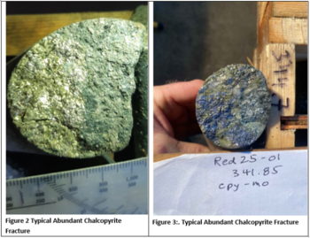 Vanguard Mining Completes Drill Program With Assays Now Pending at Redonda Copper-Molybdenum Project, British Columbia: https://www.irw-press.at/prcom/images/messages/2026/82422/Vanguard_090126_PRCOM.002.png