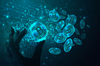 Why Bitcoin Plunged Nearly 5% This Weekend: https://g.foolcdn.com/editorial/images/852027/bitcoin8.jpg