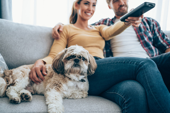 This Under-the-Radar Stock Yielding 8.2% Could Be a Big Winner in 2026: https://g.foolcdn.com/editorial/images/852106/gettyimages-1290369115.jpg