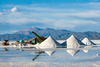 Here's Why Albemarle Stock Surged Higher This Week: https://g.foolcdn.com/editorial/images/852793/lithium-mining.jpg