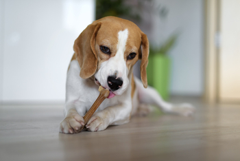 Read This Before Buying Chewy Stock​: https://g.foolcdn.com/editorial/images/850341/gettyimages-1355081206-1201x801-d21b45d.jpg