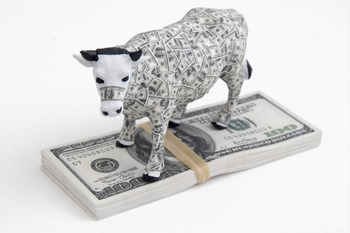 Billionaires Are Piling Into These Top Stocks. Should You Buy Them, Too?: https://g.foolcdn.com/editorial/images/860951/bull-on-stack-of-money.jpg