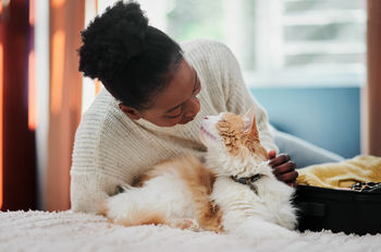 Why Chewy Stock Rallied Today: https://g.foolcdn.com/editorial/images/862455/pet-care-stocks-gettyimages-1354862415-1601x1054-0bc3140.jpg