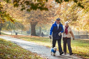 2 Healthcare Stocks to Buy and 1 to Approach With Caution: https://g.foolcdn.com/editorial/images/864846/pet-owners-walking-their-dog.jpg
