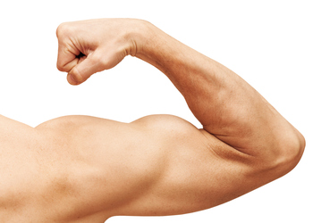 The Healthcare Stock Built for Investors Who Prioritize Capital Preservation: https://g.foolcdn.com/editorial/images/862772/getty-strong-powerful-muscle-biceps-strength.jpg