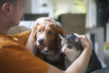 This Animal Health Stock Is Trading at Its Lowest P/E Ratio Ever: https://g.foolcdn.com/editorial/images/863937/pet-dog-cat.jpg