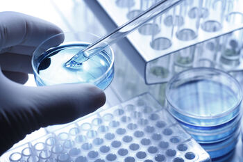 Why Sagimet Biosciences Stock Is Soaring Today: https://g.foolcdn.com/editorial/images/867396/biopharma-research-and-testing.jpg