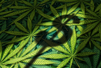 Green Thumb Just Made an Unprecedented Move. Here's What It Means for GTBIF Investors.: https://g.foolcdn.com/editorial/images/868915/cannabis-with-shadow-of-a-dollar-sign.jpg