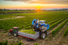 Why FMC Stock Was Sinking This Week: https://g.foolcdn.com/editorial/images/871351/a-grape-harvester-depositing-into-a-truck.jpg