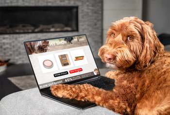 Chewy Stock Is Quietly Becoming a Buy Again. Here's Why.: https://g.foolcdn.com/editorial/images/854528/a-dog-with-a-paw-on-a-laptop.jpg
