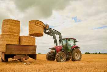 Unsure Which Tech Stock to Buy? Buy the Haystack With This High-Performing, Low-Cost Fund.: https://g.foolcdn.com/editorial/images/855347/gettyimages-884483350.jpg