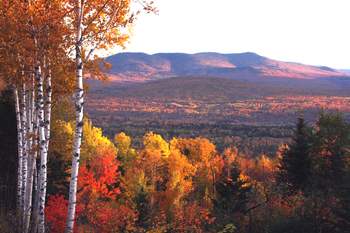 Dover, New Hampshire, Is Pulling in Retirees Who Want Walkability Without Big-City Chaos: https://g.foolcdn.com/editorial/images/852988/fall-foliage-in-new-hampshire-autumn-leaves-trees-1200x800-5b2df79.jpg