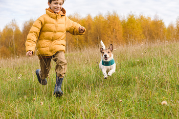 Got $5,000? Here's the Ultimate Pick-and-Shovel Pet Stock (Spoiler: It's Not Chewy): https://g.foolcdn.com/editorial/images/855016/gettyimages-1553902230.jpg