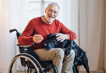 If You'd Invested $1,000 in Fluor Stock (FLR) 5 Years Ago, Here's How Much You'd Have Today (It's Probably More Than You Expected): https://g.foolcdn.com/editorial/images/855700/disabled-senior-man-in-wheelchair-indoors-playing-with-a-pet-dog.jpg