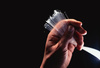 Why Optoelectronics Stocks Soared Today: https://g.foolcdn.com/editorial/images/858797/handful-of-fiber-optics.jpg