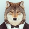 Steppenwolf0815